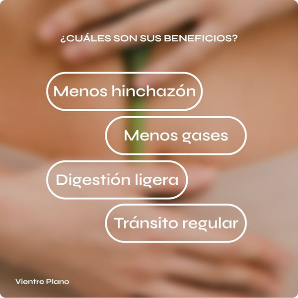 Vientre Plano - Digestión ligera