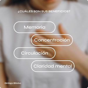 Ginkgo Biloba - Circulación y memoria