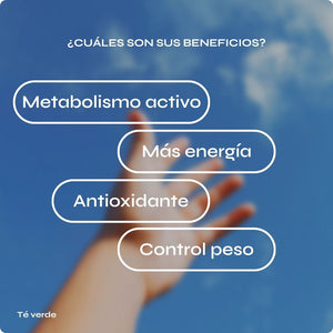 Té verde con extracto concentrado y polifenoles