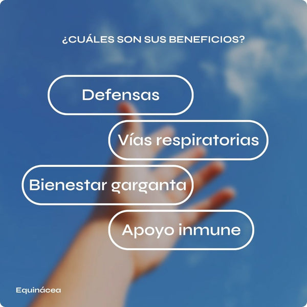 Equinácea Megaplus para defensas