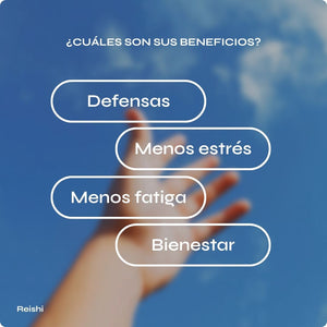 Reishi extracto 20:1 con vitamina C