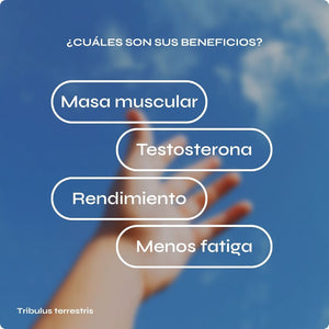 Tribulus terrestris - Vitalidad y rendimiento