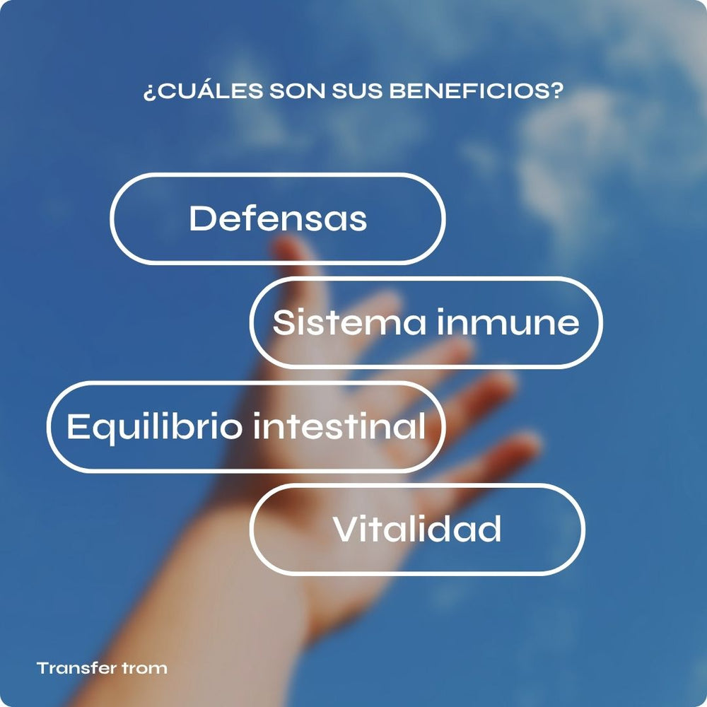 Transfer trom - Reforzar defensas