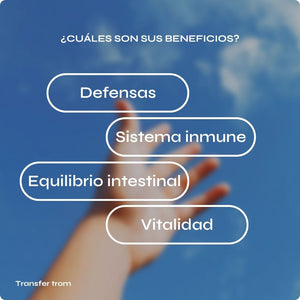 Transfer trom - Reforzar defensas