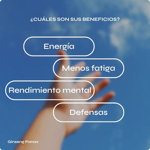 Ginseng Panax - Energía y vitalidad