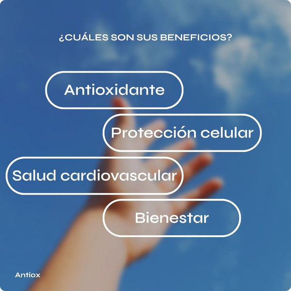 Antiox | Fórmula Antioxidante