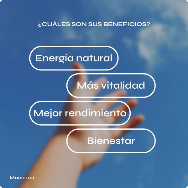 Maca 10:1 – Extracto concentrado 400 mg