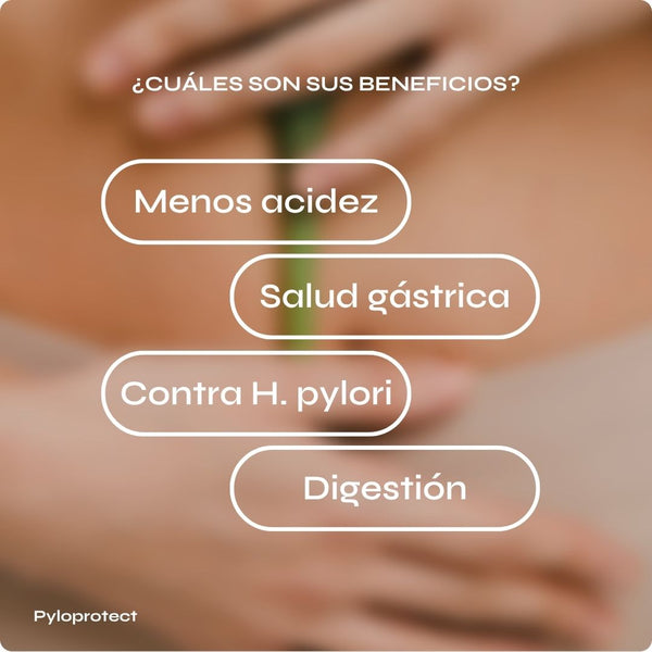 Pyloprotect para equilibrio digestivo y protección estomacal
