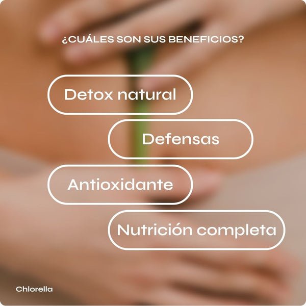Chlorella ecológica para depuración y energía