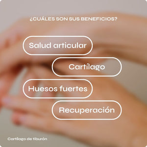 Cartílago de tiburón - Articulaciones