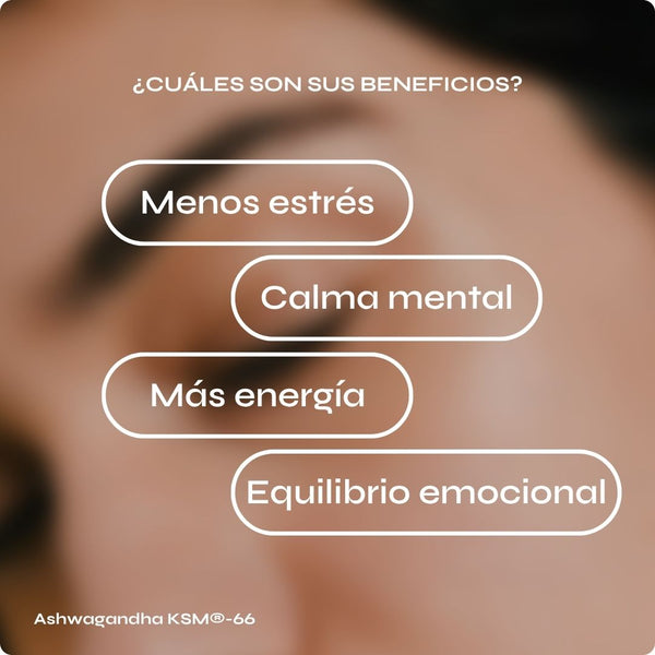Ashwagandha KSM®-66 ecológica - Estrés y equilibrio