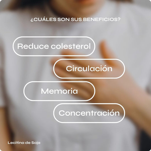 Lecitina de soja para colesterol, memoria y circulación