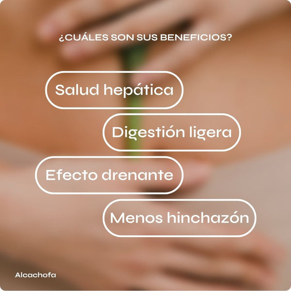 Alcachofa Megaplus - Digestión e hígado