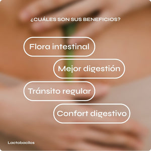 Lactobacilos con prebiótico - Flora intestinal equilibrada