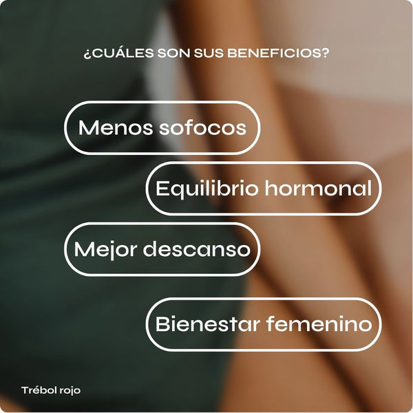 Trébol rojo | menopausia y equilibrio hormonal