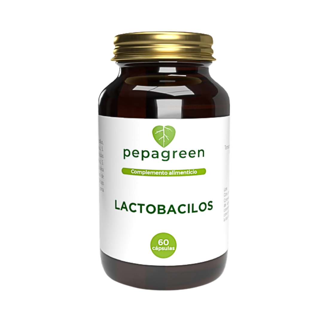 Lactobacilos con prebiótico - Flora intestinal equilibrada