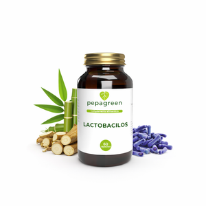 Lactobacilos con prebiótico - Flora intestinal equilibrada