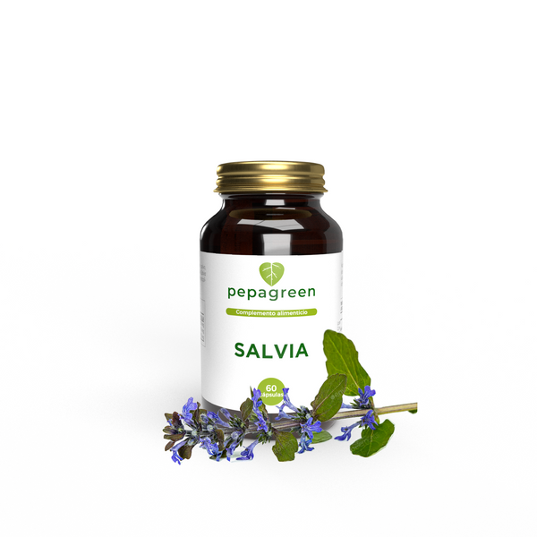 Salvia para digestión y sudoración